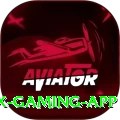 1XWin Max Gaming App