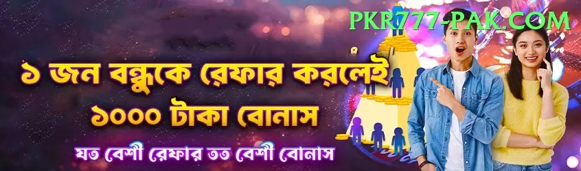 pk11 Live Casino King Screenshot 1